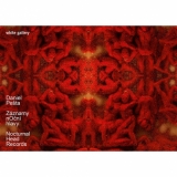 Daniel Pešta - Záznamy noční hlavy