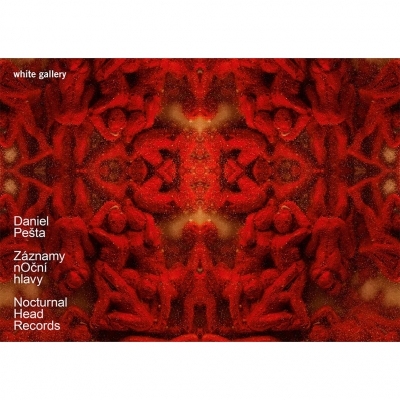 Daniel Pešta - Záznamy noční hlavy